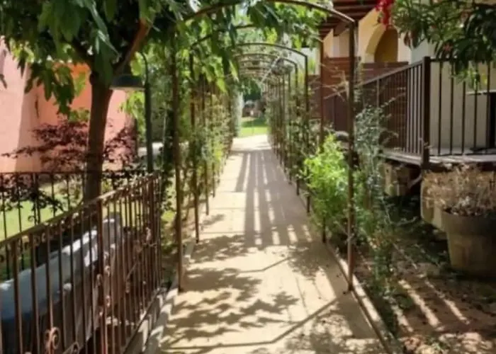 Dans Avec Piscine A Appartement Sisco